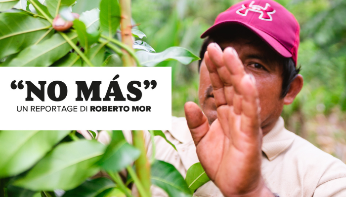 "No Màs" - Una mostra per sostenere la riforestazione